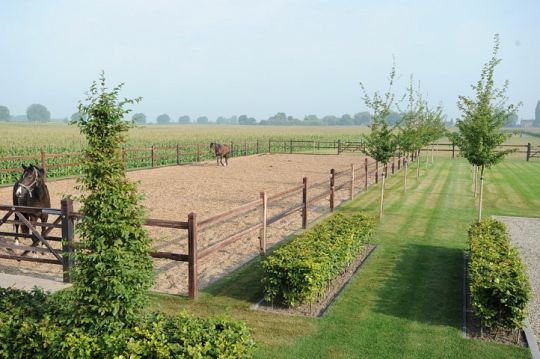 Voorbeeld tuin 3 paarden.jpg